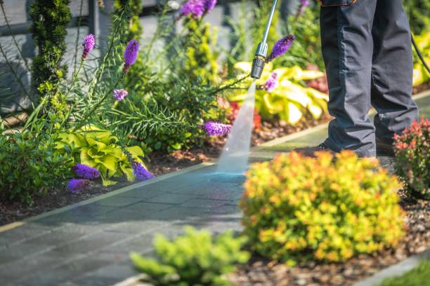 Best Patio and Deck Pressure Washing  in Mcgregor, TX